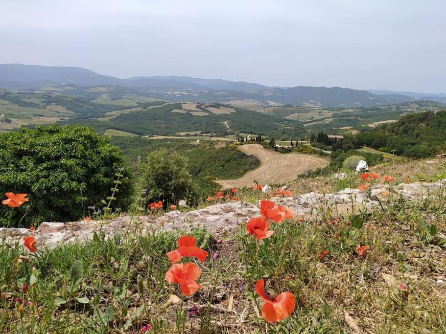 Casa Contadina In Borgo Medievale, Tuscany Monteguidi Buitenkant foto