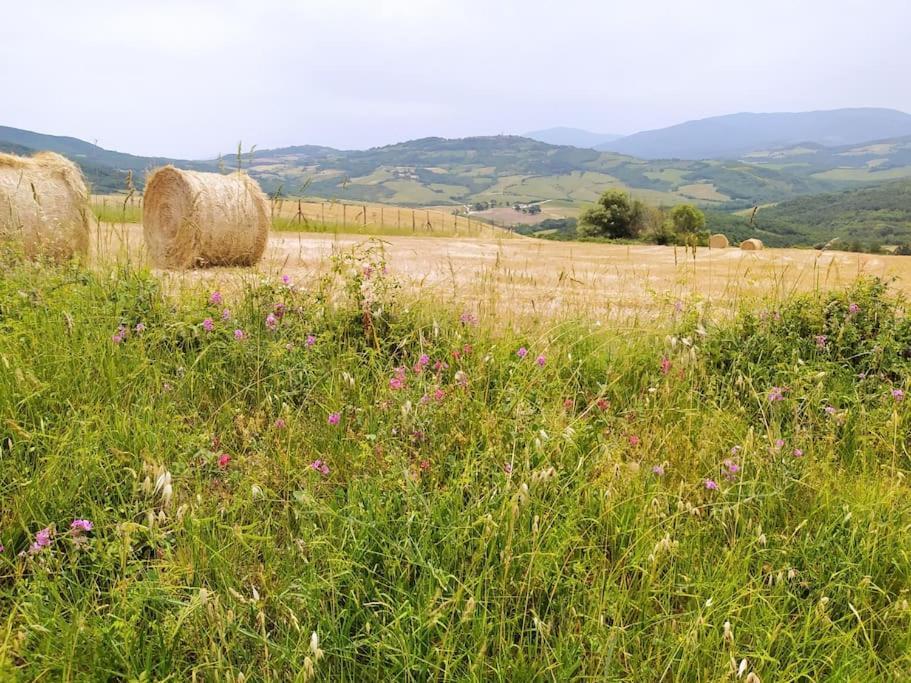 Casa Contadina In Borgo Medievale, Tuscany Monteguidi Buitenkant foto